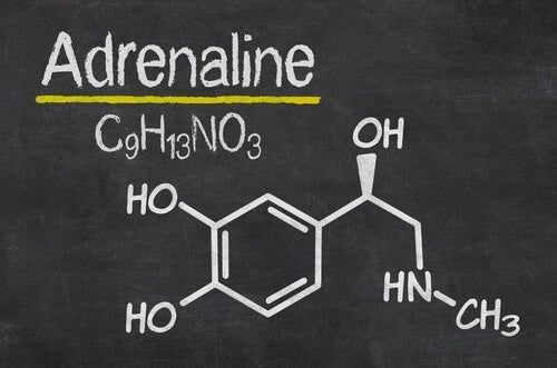 Adrenaline