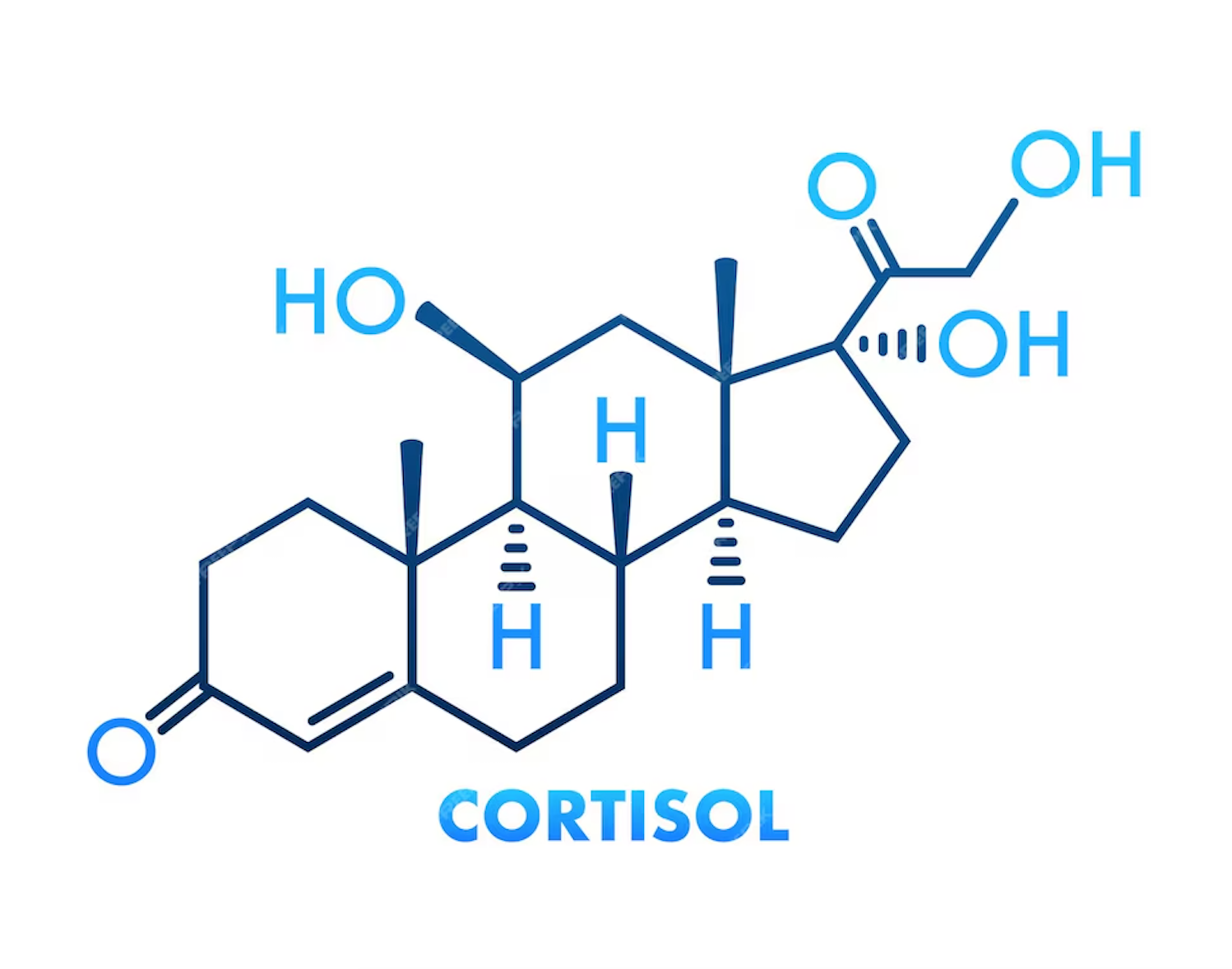 cortisol