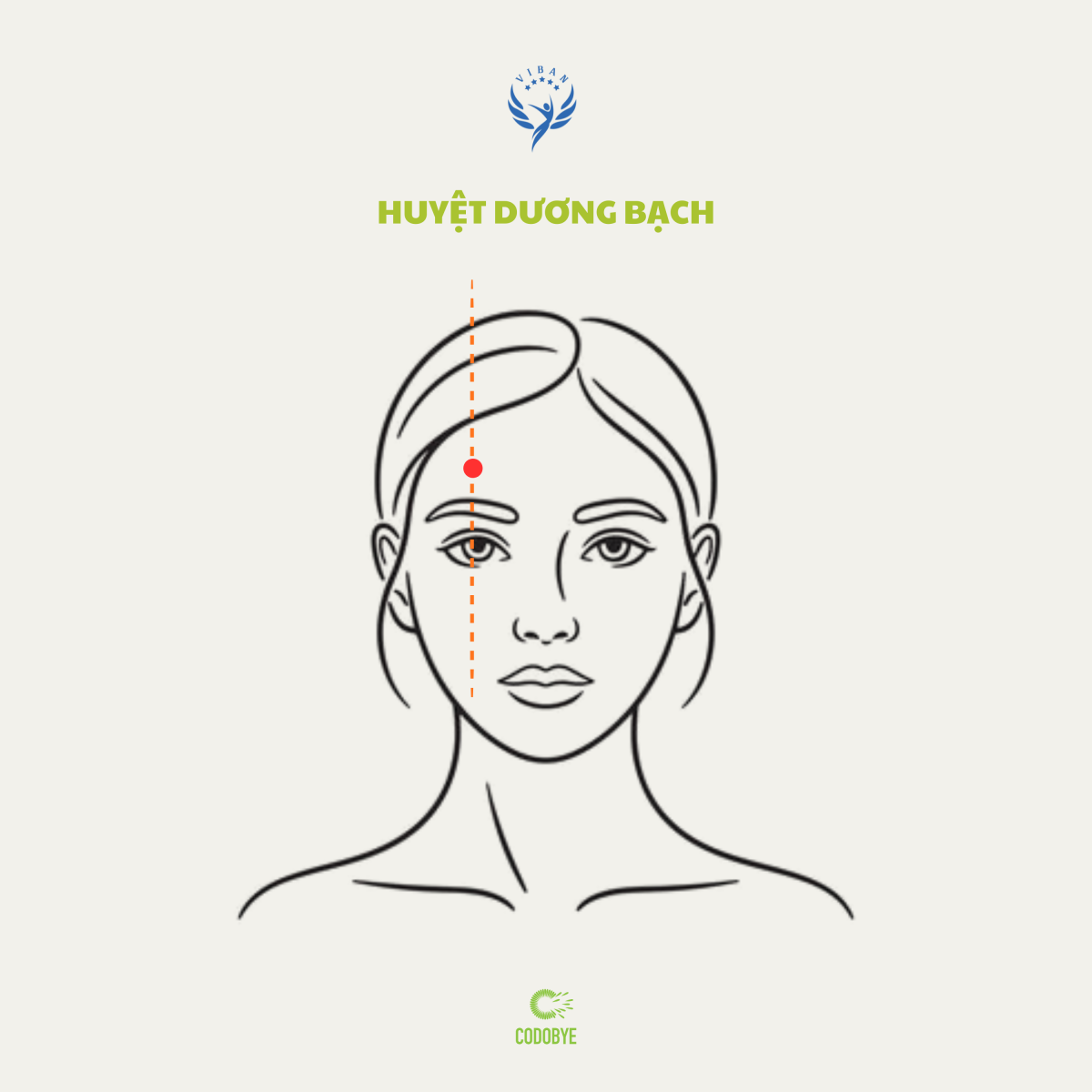 Huyệt Dương Bạch sáng da, hỗ trợ giảm mỏi mắt