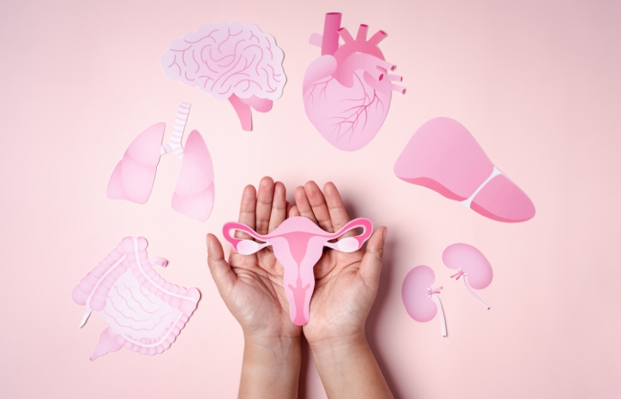 Nguy cơ rối loạn nội tiết từ mỹ phẩm