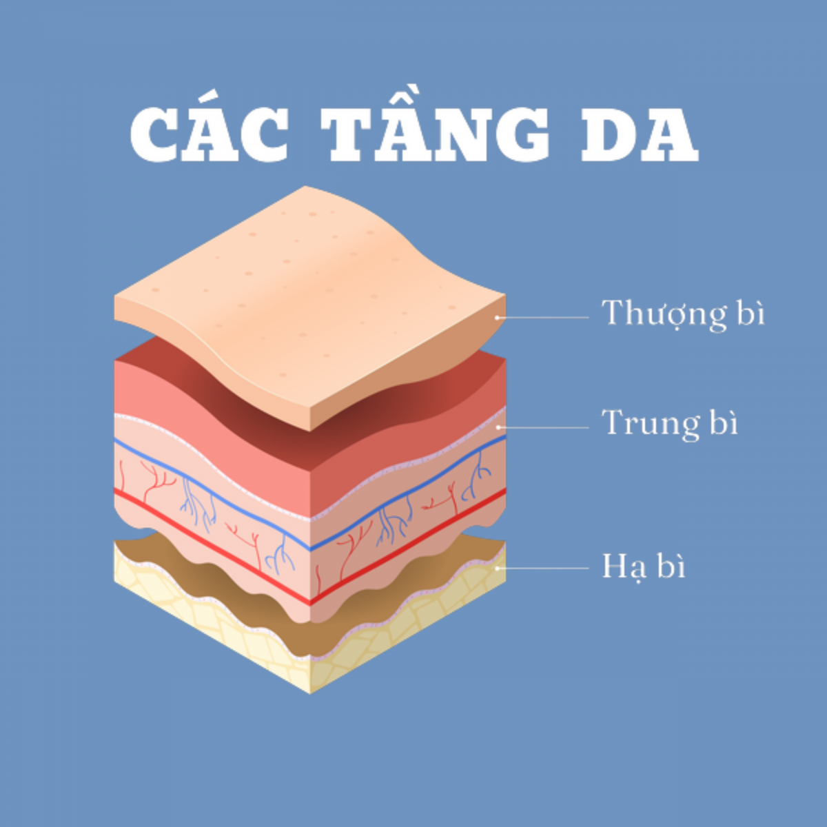 So sánh thâm mụn lớp thượng bì và trung bì với thời gian hồi phục khác nhau